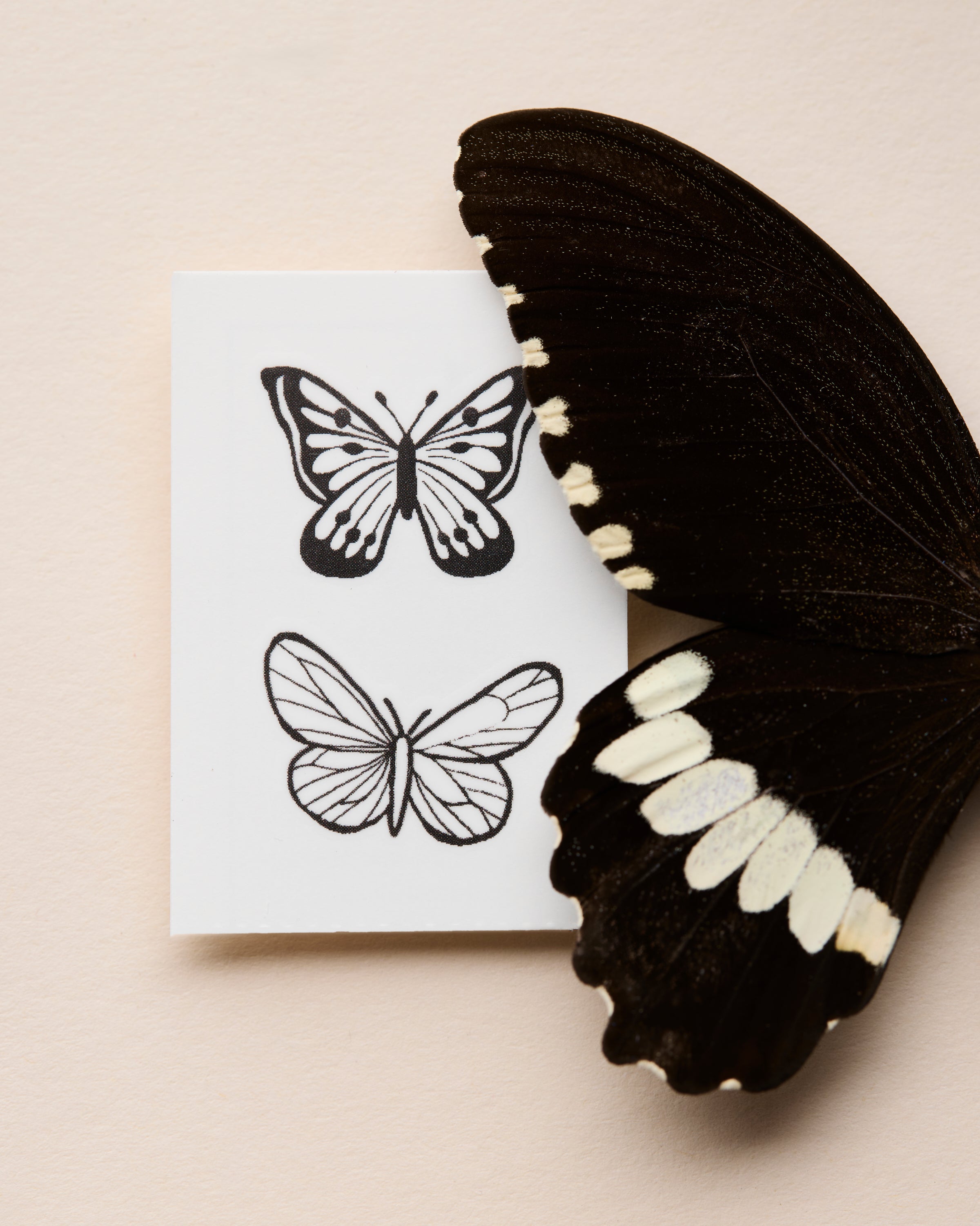 Butterfly Dreams Temporary Tattoos